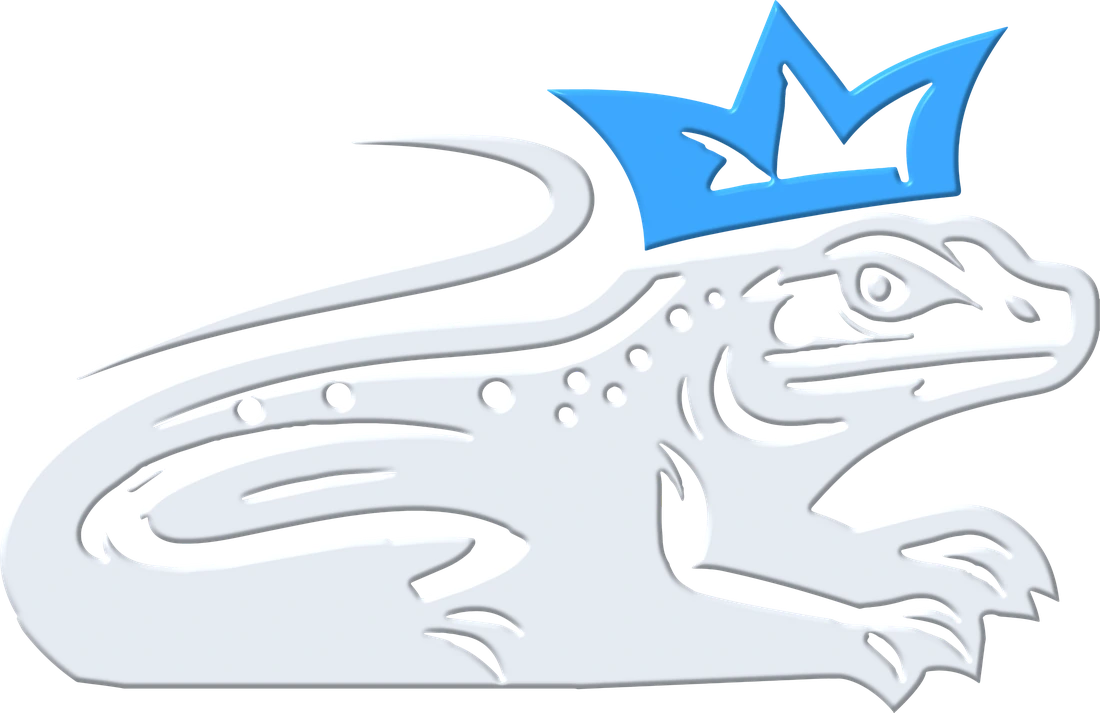 LK Auto Pro crowned lizard
